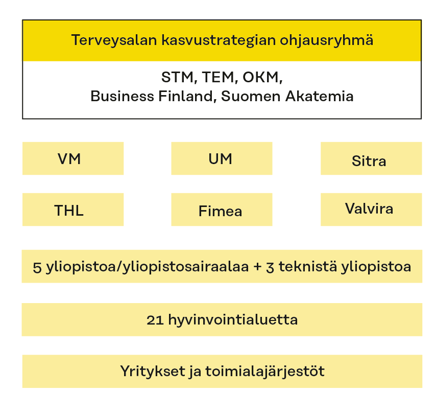 Terveysalan kasvustrategian ohjausryhmän muodostavat nykyään STM, TEM, OKM, Business Finland ja Suomen Akatemia. Muita sidosryhmiä ovat VM, UM, Sitra, THL, Fimea ja Valvira, yliopistot ja yliopistosairaalat, hyvinvointialueet, yritykset ja toimialajärjestöt. ​