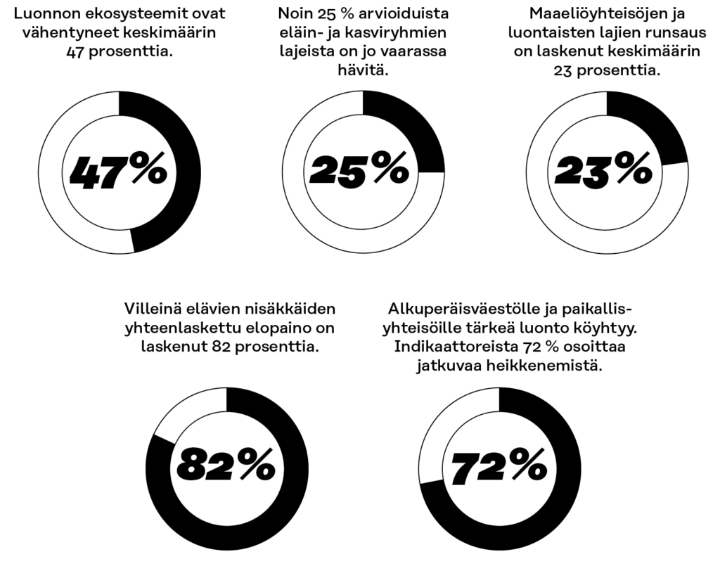 Luonnon ekosysteemit ovat vähentyneet keskimäärin 47 prosenttia. Noin 25 prosenttia arvioiduista eläin- ja kasviryhmien lajeista on jo vaarassa hävitä. aaeliöyhteisöjen ja luontaisten lajien runsaus on laskenut keskimäärin 23 prosenttia. Villeinä elävien nisäkkäiden yhteenlaskettu elopaino on laskenut 82 prosenttia. Alkuperäisväestöille ja paikallisyhteisöille tärkeä luonto köyhtyy.