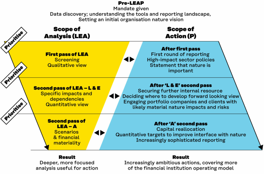A ‘double funnel’ figure displaying how the scope of analysis narrows during successive passes of LEA, while the scope of action widens.
The first pass involves screening, provides a qualitative view and allows for a first round of reporting, high-impact sector policies and a statement that nature is important.
The L & E parts of the second pass explore specific impacts and dependencies, with a quantitative view and allows for securing further internal resource, deciding where to develop forward a looking view and engaging portfolio companies and clients.
The E part of the second pass develops scenarios and links to financial materiality, and allows for capital reallocation, target-setting and increasingly sophisticated reporting.