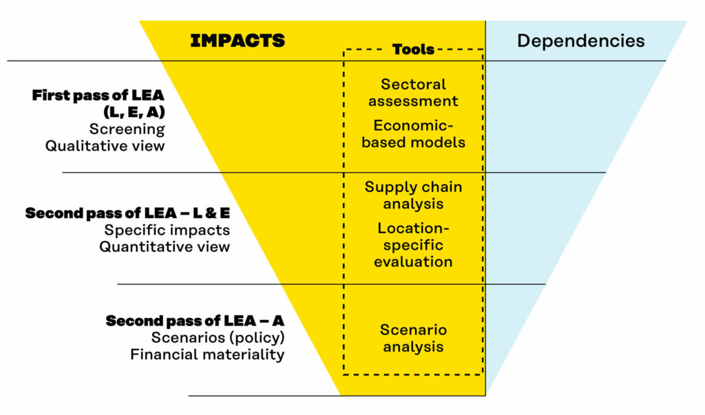 A funnel figure displaying how the scope of analysis narrows during successive passes of LEA, with the impacts side highlighted.
The first pass involves qualitative screening at portfolio level to prioritise action for latter steps
and uses tools including sectoral assessment and economic-based models.
The L & E parts of the second pass utilises screening results to evaluate the extent of specific impacts connected to locations and use tools including supply chain analysis and location-specific evaluation.
The E part of the second pass develop scenarios, particularly around policy, to connect impacts to financial materiality, and uses tools including scenario analysis.