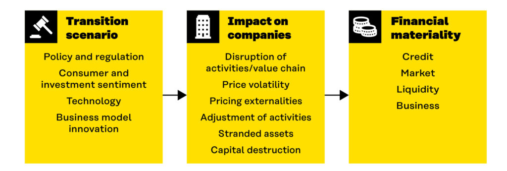 A figure displaying how transition scenarios (Policy and regulation, Consumer and investment sentiment, Technology, Business model innovation) translate to Impact on Companies (Disruption of activities/value chain, Price volatility, Pricing externalities, Adjustment of activities, Stranded assets, Capital destruction), and thereby to Financial Materiality (Credit, Market, Liquidity, Business).