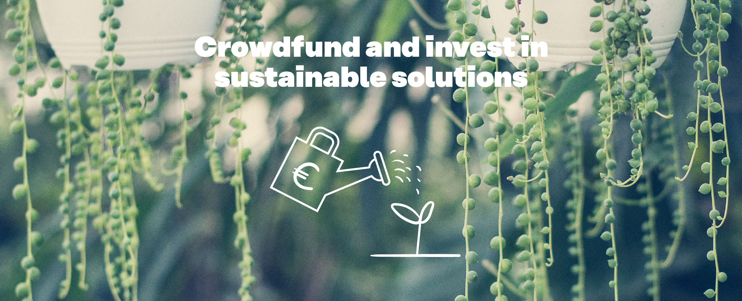 Crowdfund and invest in sustainable solutions