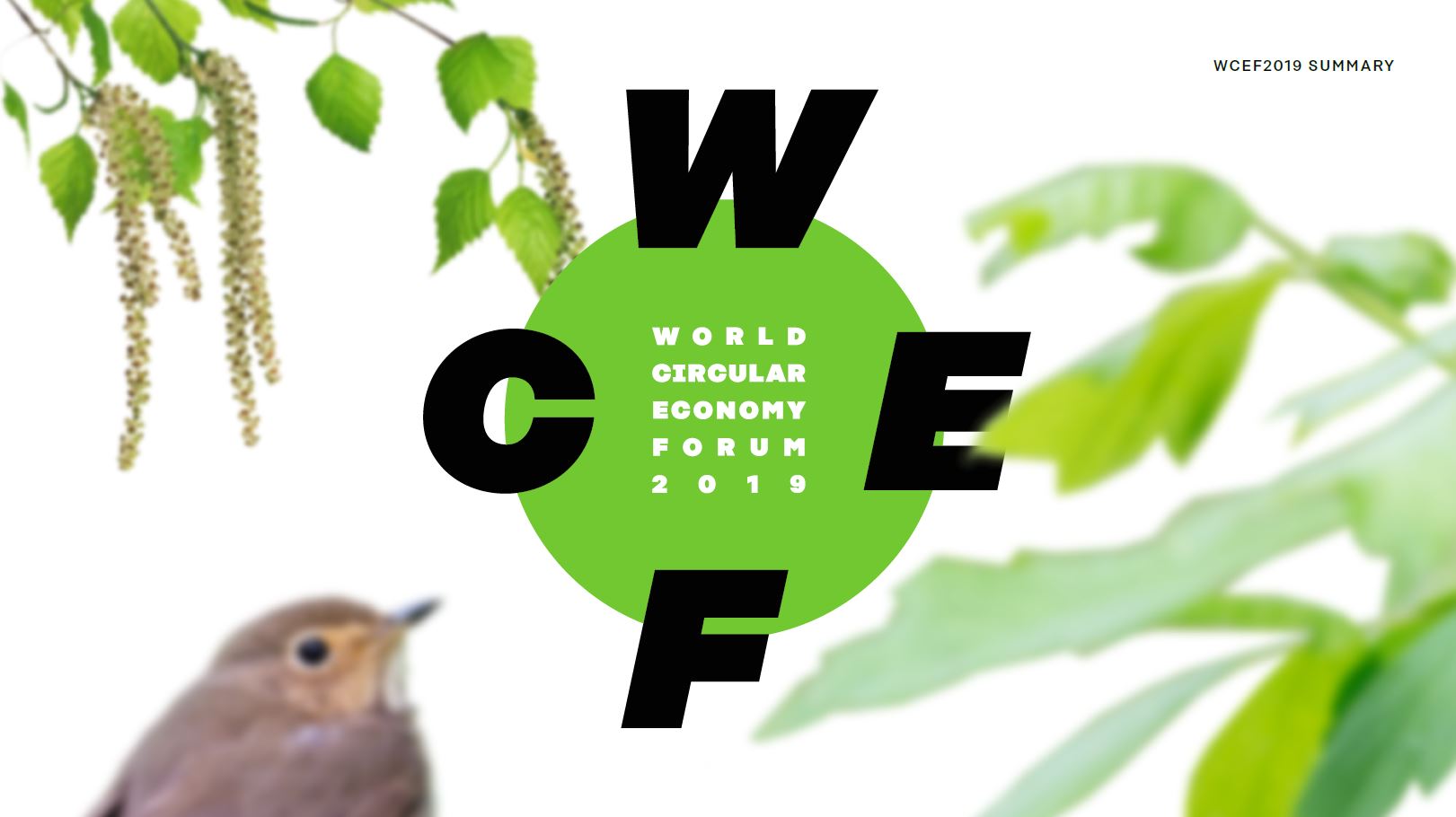 Cover page for the WCEF2019 summary with birch leaves, a robin and the WCEF2019 logo.