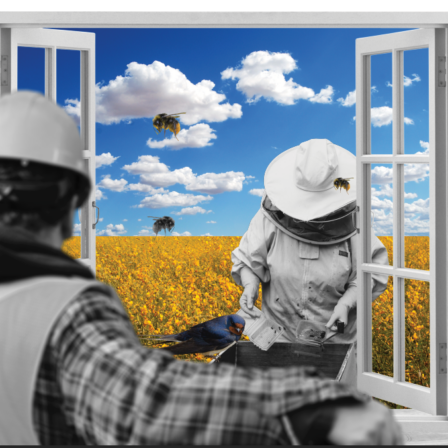 A mining worker looking through a window to see his future work as a beekeeper