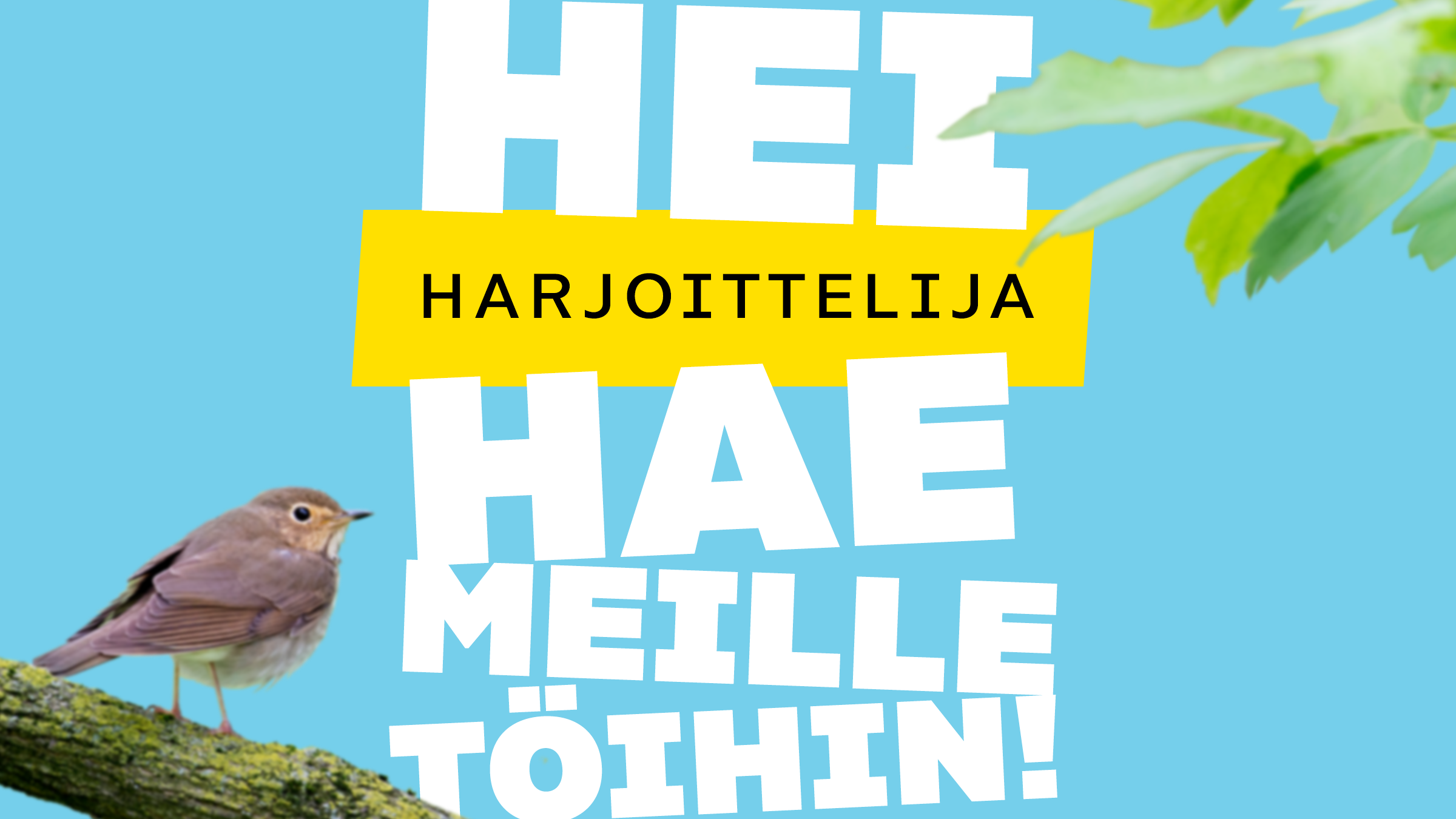 Harjoittelija, hae meille töihin.