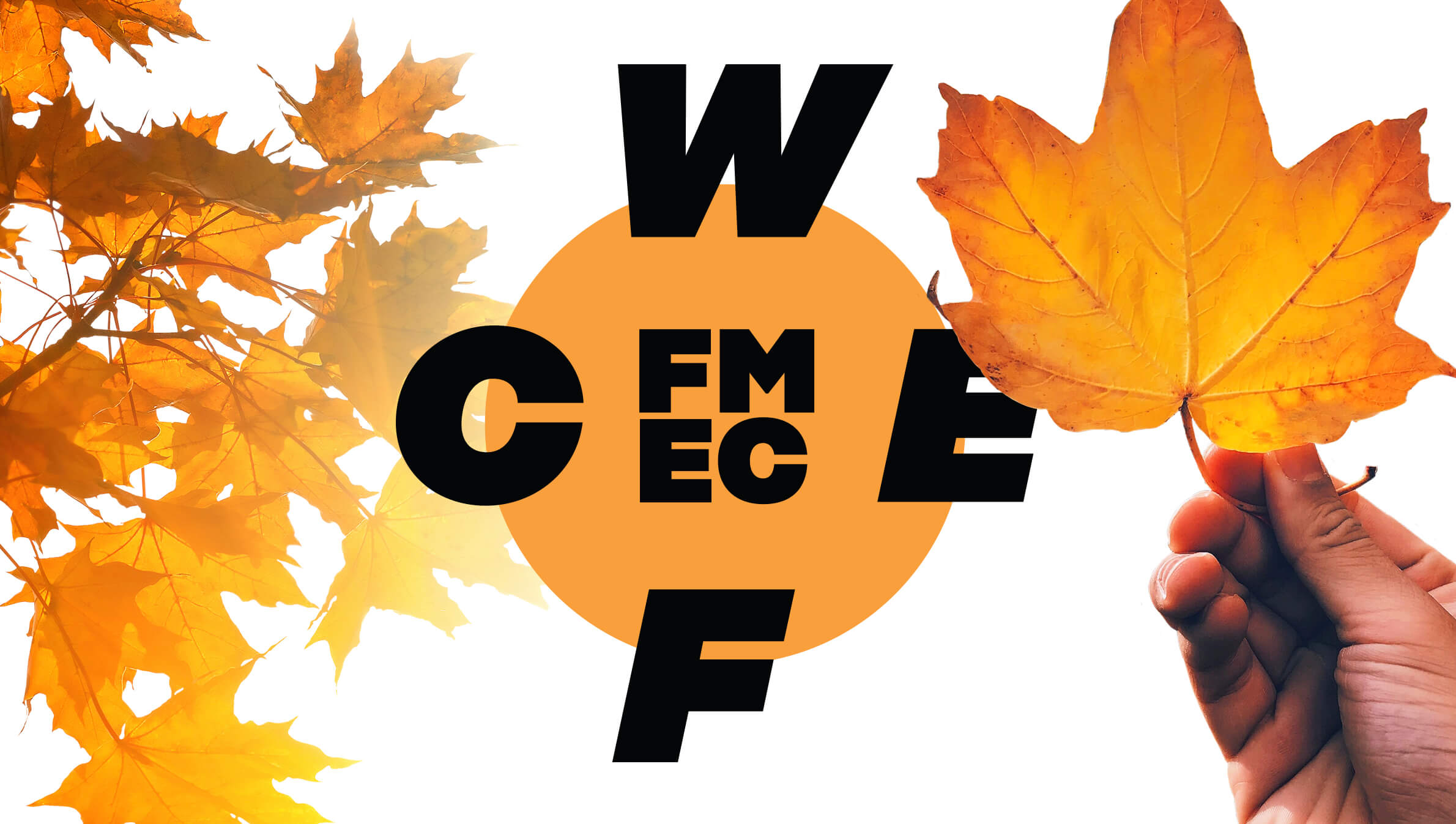 WCEF logo