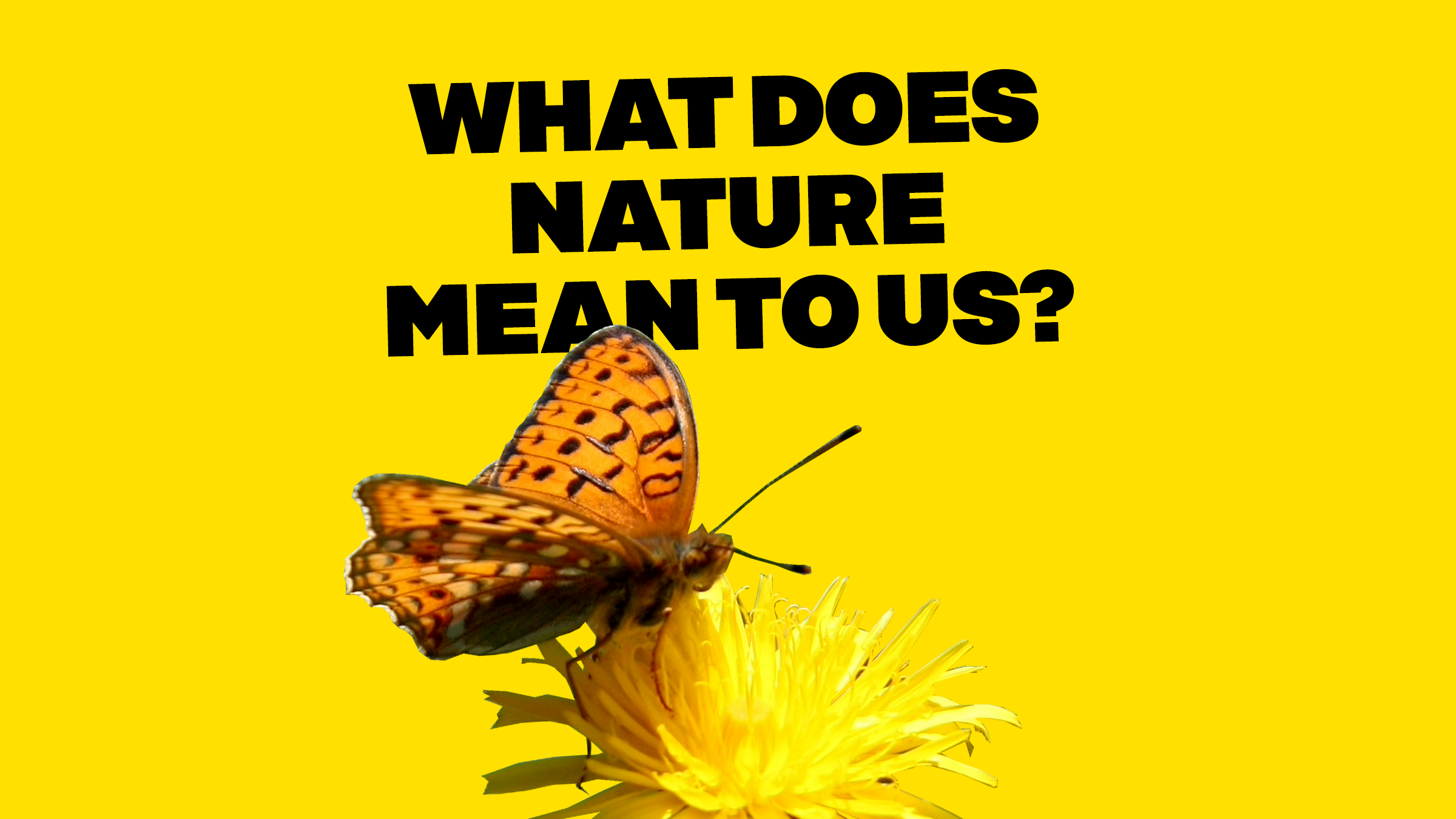 What does nature mean to us?